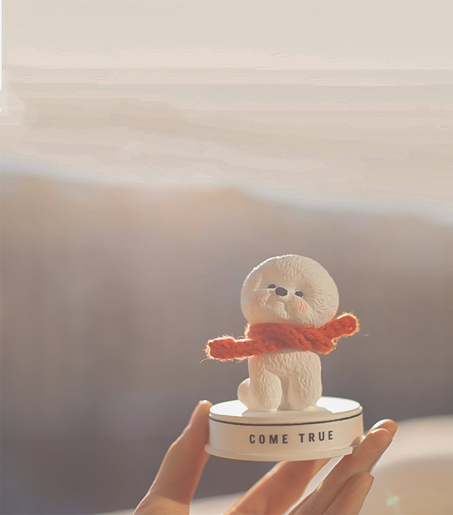 Bichon On Holiday